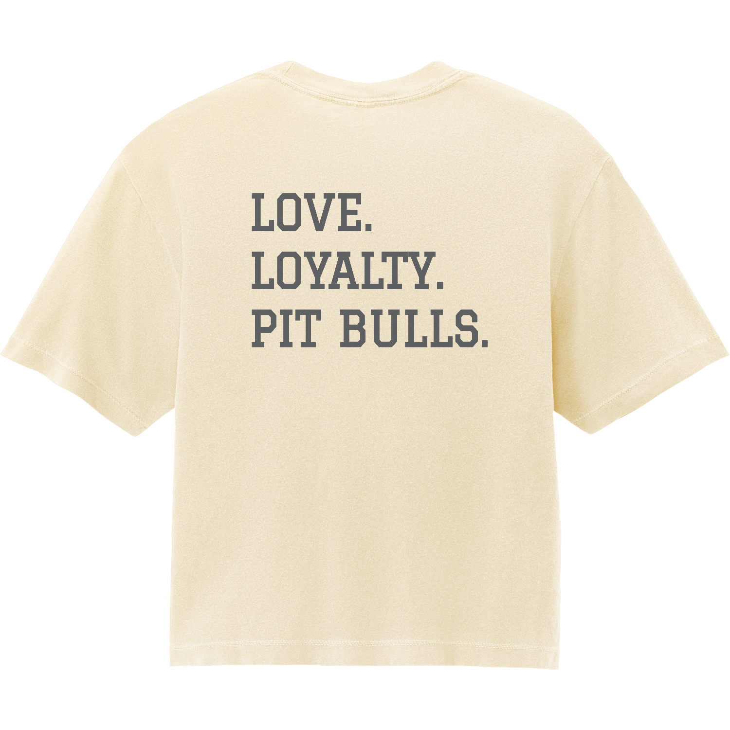 Love Loyalty Pit Bulls  Women's Garment-Dyed Heavyweight Boxy T-Shirt